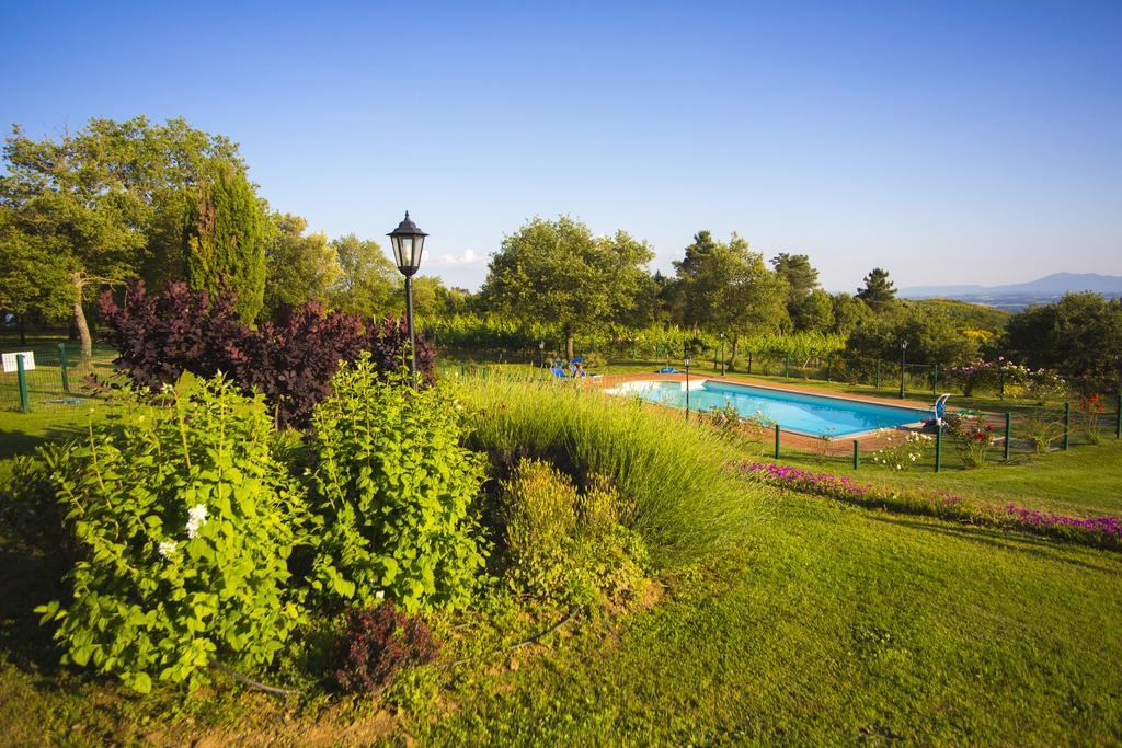 Tenuta Angelici Winery Casa Contea With Pool And Panoramic Pool Cortona Villa Terontola Camera foto