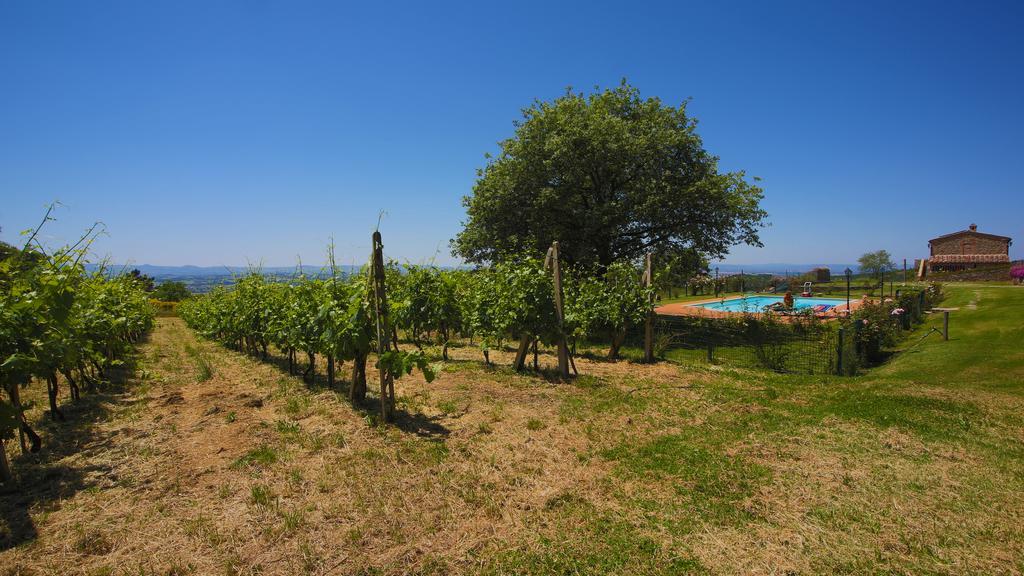 Tenuta Angelici Winery Casa Contea With Pool And Panoramic Pool Cortona Villa Terontola Camera foto